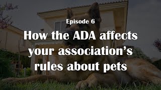 Episode 6: How the ADA affects your association's rules about pets
