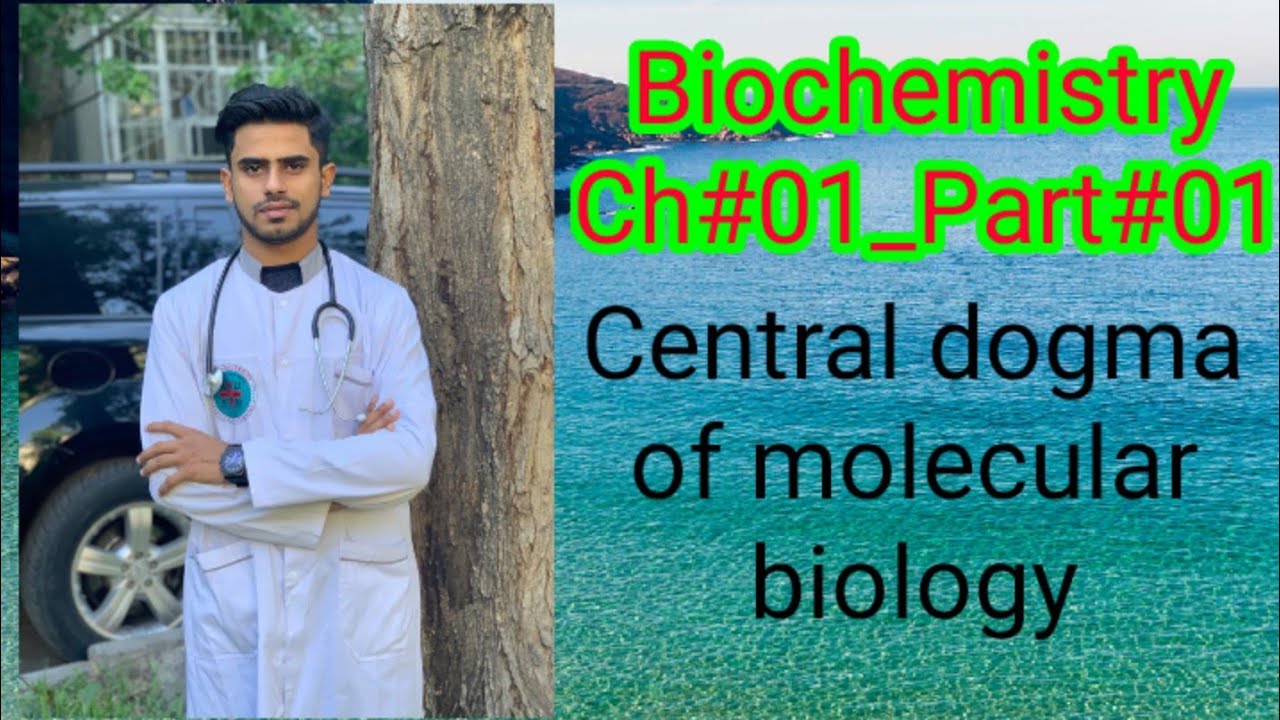 Central Dogma of molecular biology(Biochemistry_Ch
