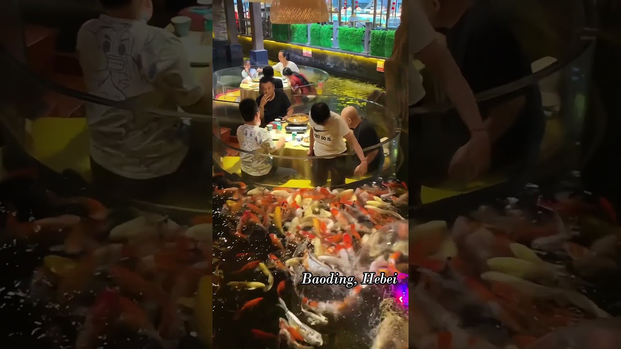 Enjoyable Koi Pond Restaurant