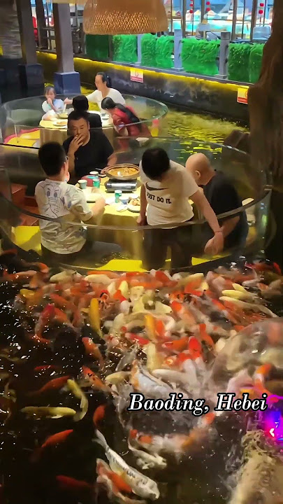 Enjoyable Koi Pond Restaurant