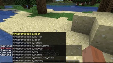 How to crash any server/game in minecraft