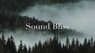Epic Background|Sirius|INFRACTION| - Free Music - No Copyright - Sound Bliss