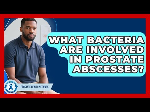 What Bacteria Are Involved In Prostate Abscesses? - Prostate Health Network