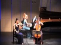 Schumann Piano Trio in G minor, Op. 110, 1st Movement