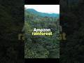 🌎🌿 Amazon Rainforest – The Lungs of Our Planet 🌎#shorts #youtubeshorts #facts #upload #viralvideo