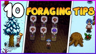 Maximize Your Stardew Valley Foraging (2025 Tips!)