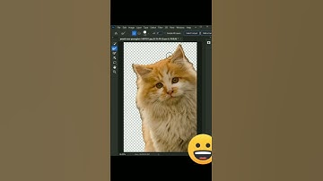 How to select difficult objects in Photoshop #shorts #ytshorts