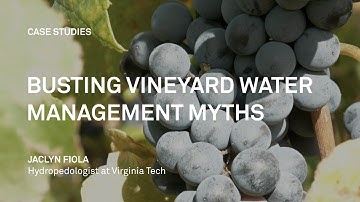 Busting Vineyard Water Management Myths
