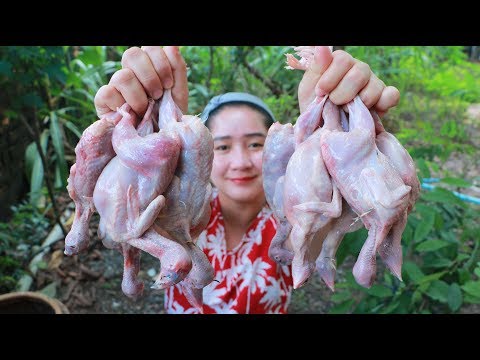 Yummy Quail Hot Spicy Cooking - Quail Spicy Stir Fry - Cooking With Sros