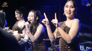 Download Lagu IKAN DALAM KOLAM - DINDA OLIVIA - BLMUSIKOFFICIAL LIVE IN TANARA MP3
