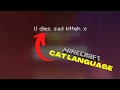 CAT LANGUAGE in MINECRAFT?!?