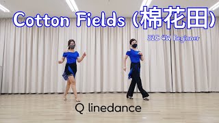 Cotton Fields (棉花田)Linedance