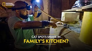 Cat Spots Snake in Family’s Kitchen? | Snake SOS: Goa’s Wildest | Full Episode | S02-E06