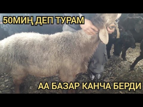 Video: V бакс сатып алышым керекпи?