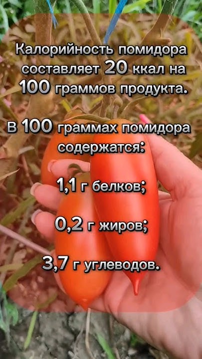 Помидор КБЖУ #ккбжу - YouTube