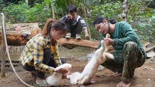 making a mortar to pound rice with water, the rabbit was attacked by a dog, survival alone