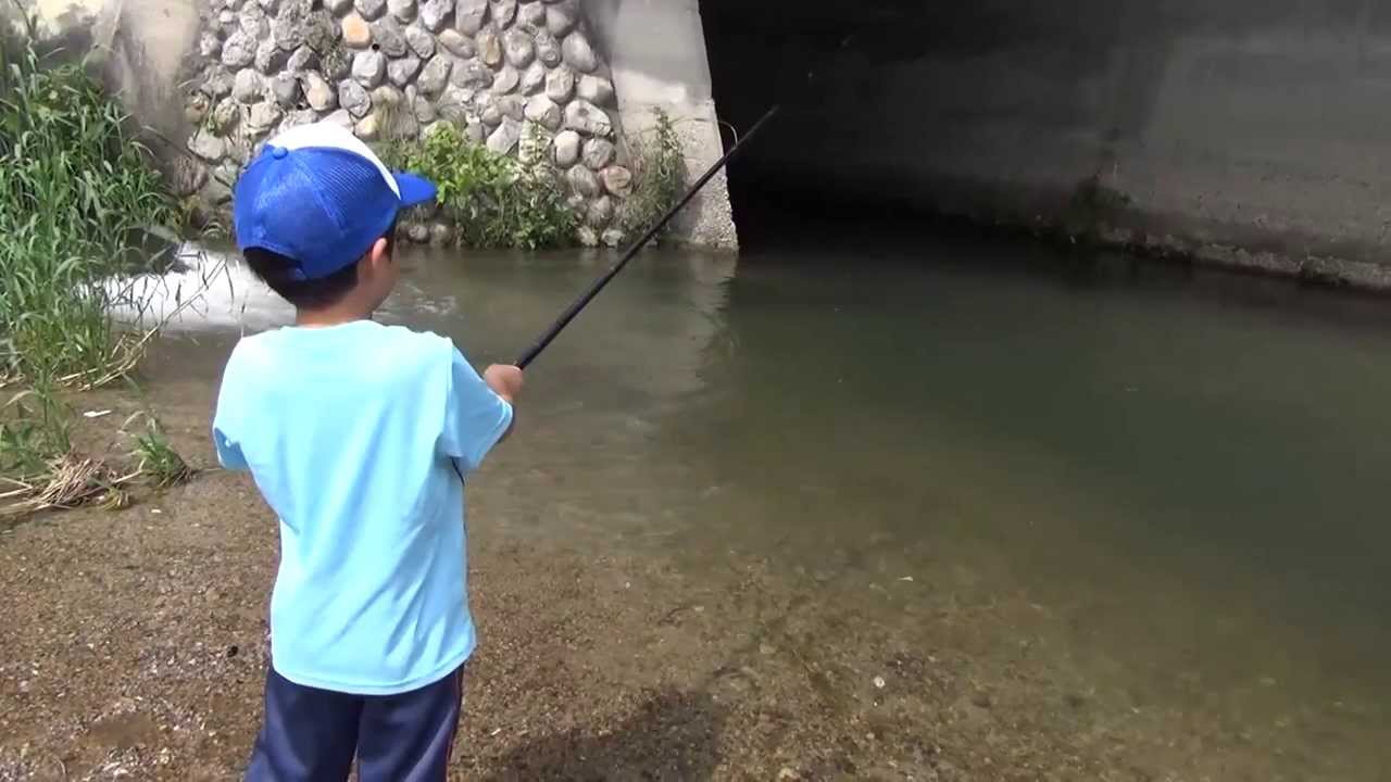 子供とウグイ釣り Dace Fishing Youtube