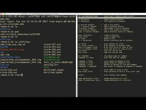 file system paths