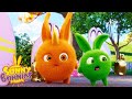 SUNNY BUNNIES - Gold Bunny | Season 5 | Cartoons for Children