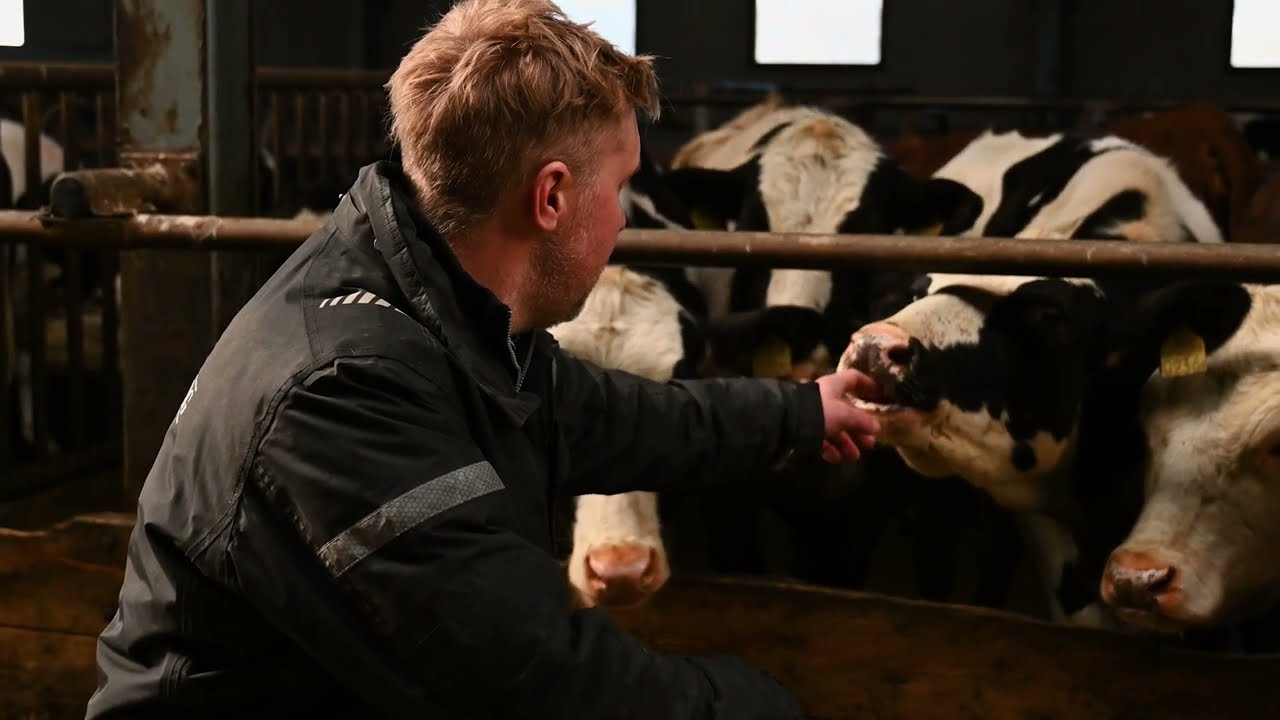 Kullenberg gård | Starspridaren 18 kubik