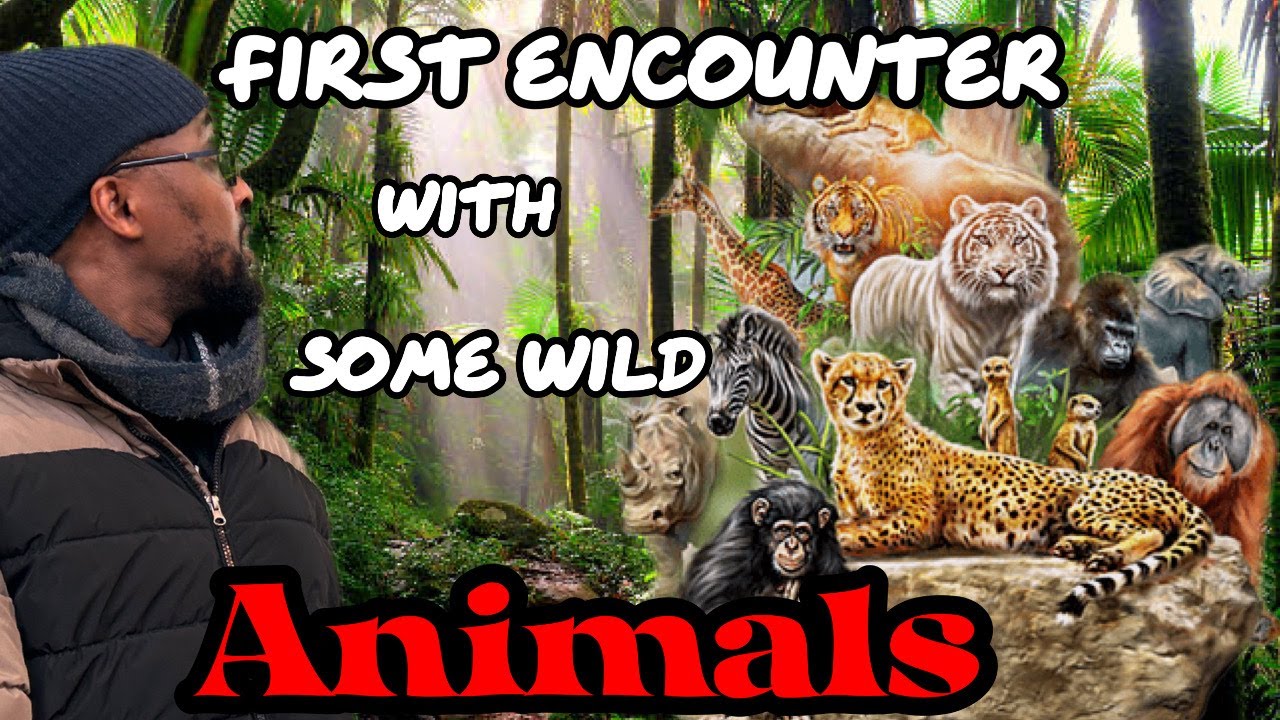 Pt 3- Interesting final moments at the Berlin zoo| First time encounter ...