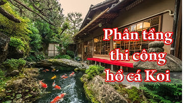 Thi công hồ cá Koi và trang trí sân vườn Nhật Bản đang trong giai đoạn phân tầng?