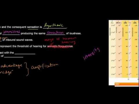 lecture 22 part 4 (Question answering) - YouTube