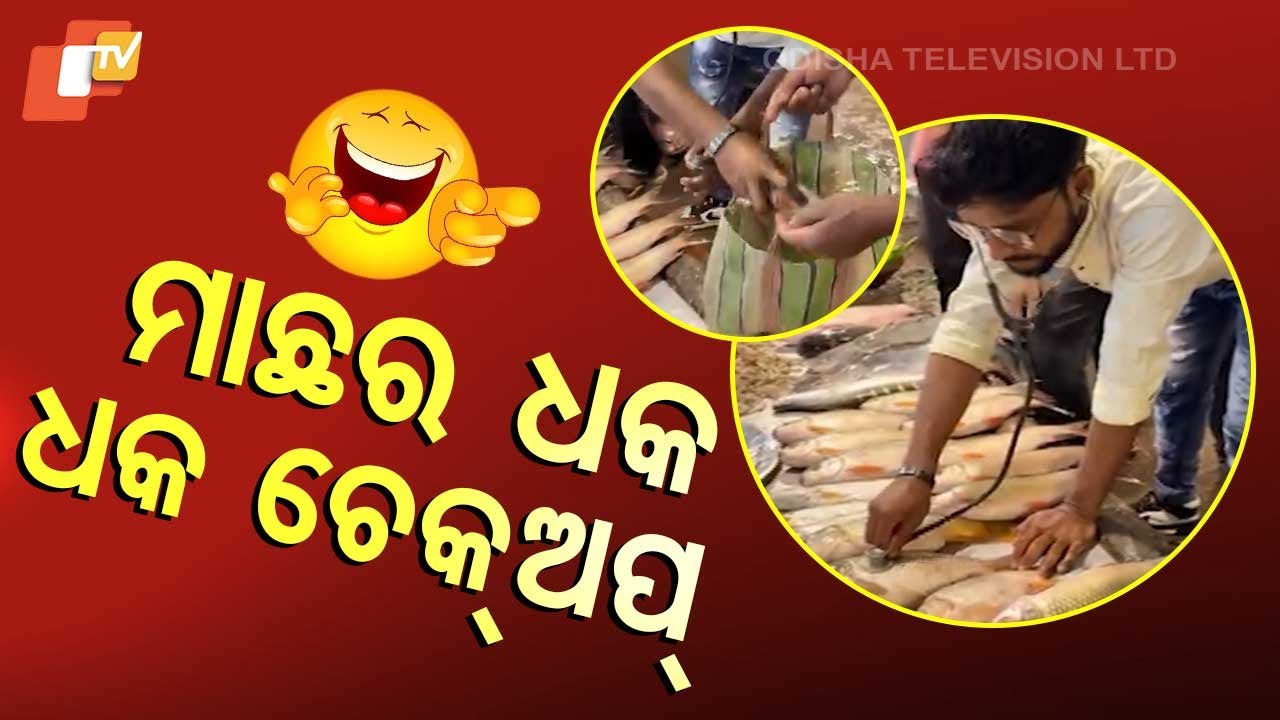 NEWS FUSE || ମାଛର ଧକ ଧକ ହେଉଛି ନା ନାହିଁ