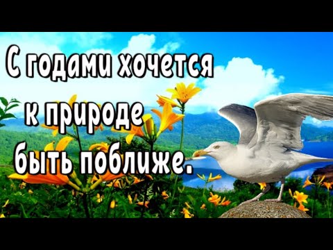 Душевный стих с глубоким смыслом до слез. С годами хочется к природе быть поближе(