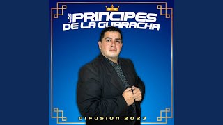 Video thumbnail of "Los Principes De La Guaracha - Puño de Diamantes"