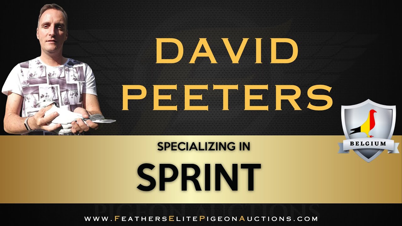 Sprint Racing Master David Peeters Belgium Loft Tour