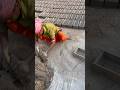 Ultra-fast clay cutting-incredible method #viral #reels #shorts #brick