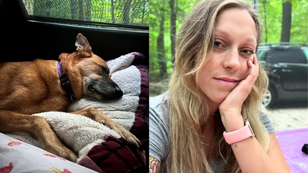 sleeping in my car with my dog YouTube