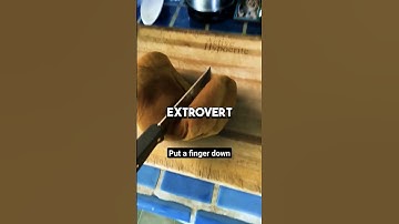 Put A Finger Down Challenge - Extrovert Edition