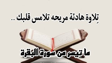 ما تيسر من سورة البقرة ، تِلاوة هادئة مريحه تلامس قلبك|| القارئ تركي المخيلدي #quran #القران_الكريم