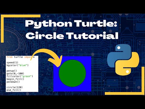 Creating a Circle with Python Turtle | Tutorial