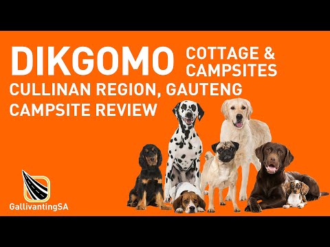 A campsite review of Dikgomo Cottages September 2025