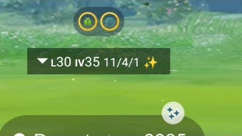 Bug Shiny ✨ Pokemon Pgsharp Pokemon Go