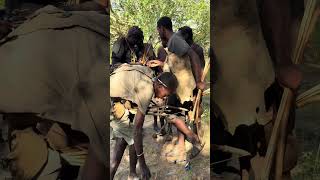 Deep in Tanzania’s Forest, Hadzabe Hunters Made a Strange Discovery