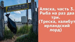 Аляска, часть 3. Рыба на раз два три. (Треска, халибут ирландский лорд)