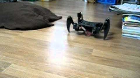 C.A.T. Quadruped Full Collision Avoidance