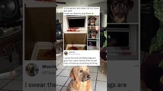 Rosie's a little cutie