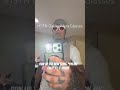 Unboxing Oakley HSTN Meta Glasses White/Gold (Almost Gone Wrong)😳 #metaglasses
