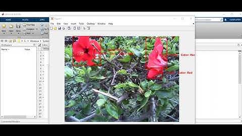 real time detection using matlab
