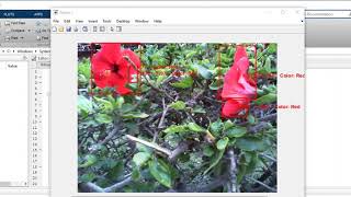 real time detection using matlab