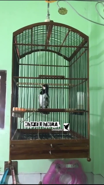 JALAK SUREN TEMBAKAN RAPAT.