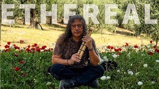 Native American Flute Meditation - Healing in Nature with Birdsong