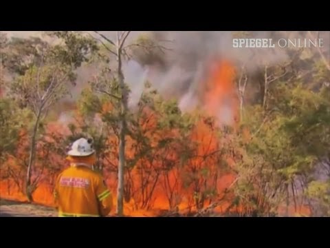 DRAMATISCHE DÜRRE: Gartenschlauch-Verbot in Teilen Englands - Notstand ausgerufen