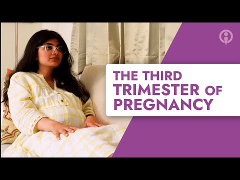 The Third Trimester of Pregnancy - Pregnancy Trimester Series | ImmunifyMe