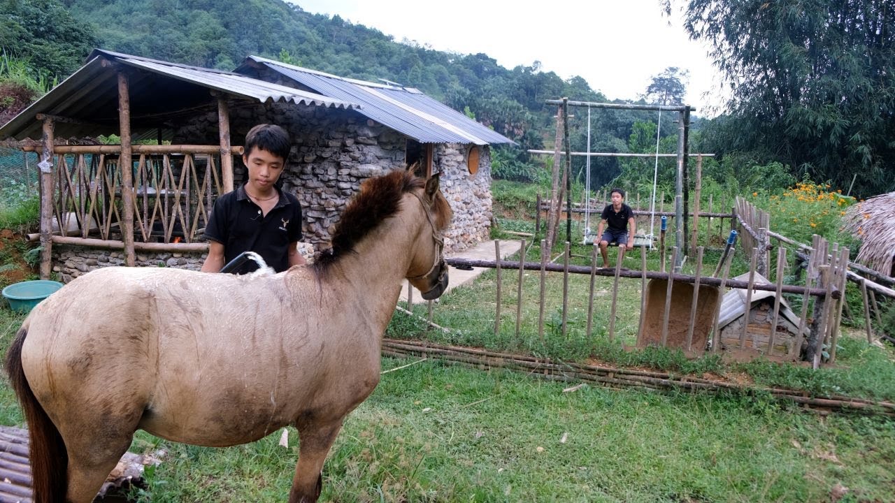 Хунг спроектировал красивые и прочные бамбуковые качели, чтобы расслабиться после рабочего дня.